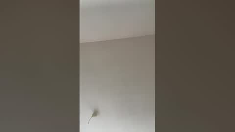 valerianleclercq2025 online show from February 27, 2026, 4:07 pm