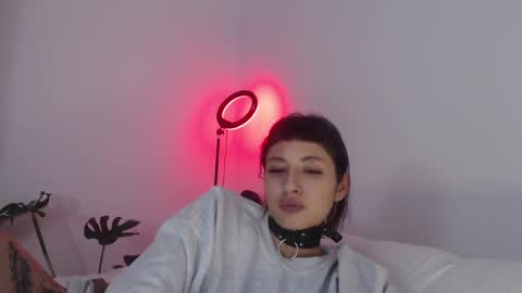 Babi Alu online show from February 25, 2025, 9:20 am