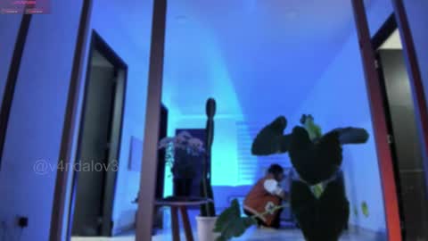 Babi Alu online show from February 3, 2026, 10:42 am