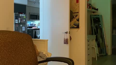 Snapshot of vanessapark chatting on January 5, 2025, 3:34 pm Vanessa  online show from January 5, 2025, 3:34 pm