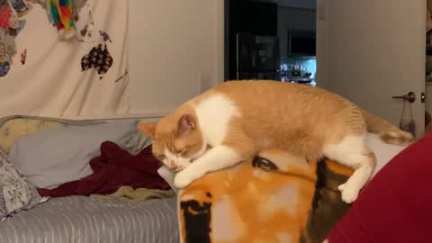 Vanessa  online show from December 15, 2025, 2:05 am