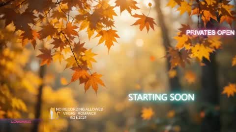 Snapshot of vegas_romance chatting on September 21, 2025, 11:50 pm vegas_romance online show from September 21, 2025, 11:50 pm