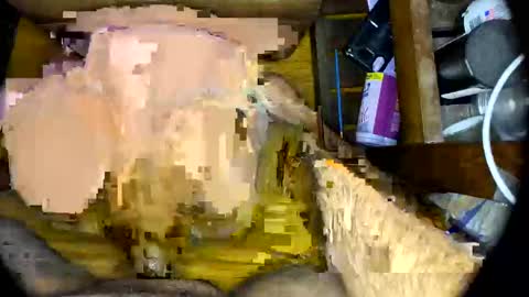 Snapshot of vegujo chatting on February 7, 2025, 7:07 am vegujo online show from February 7, 2025, 7:07 am