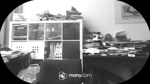 vejun2025 online show from September 11, 2025, 7:47 pm