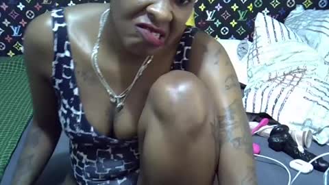 velvet online show from July 14, 2026, 11:27 am