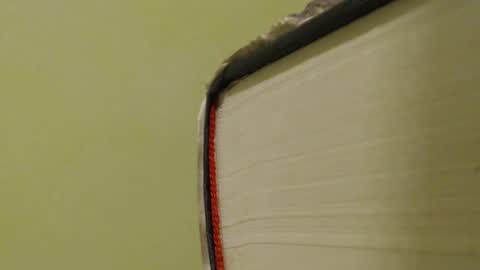 vendi1 online show from January 14, 2025, 8:26 pm