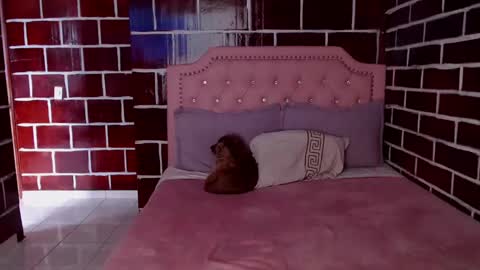 emily independent account  MY conextion 1100 GTM  to  17hr GTM online show from March 8, 2025, 10:34 pm