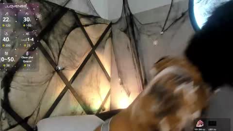 venuss_03 online show from November 2, 2025, 3:31 am