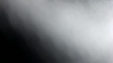 Snapshot of vergaccio chatting on December 14, 2024, 4:20 pm vergaccio online show from December 14, 2024, 4:20 pm