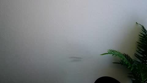 Ana online show from February 5, 2026, 9:14 am