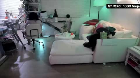 vesafine online show from November 29, 2025, 7:00 am