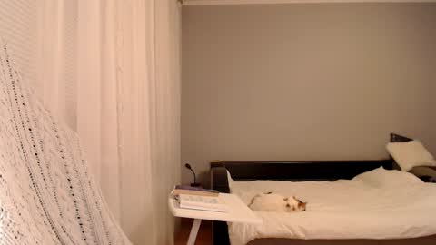 Snapshot of vibezgirl chatting on February 5, 2025, 5:09 pm Amelia online show from February 5, 2025, 5:09 pm