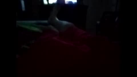 viciouzz1 online show from November 11, 2025, 11:27 pm