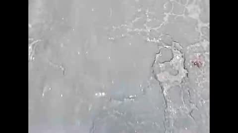 viciouzz1 online show from November 24, 2025, 7:02 pm