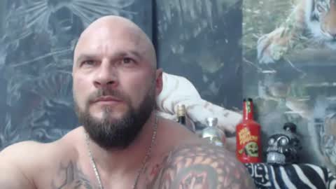 viking online show from June 1, 2026, 6:31 pm