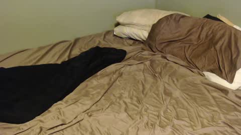 Snapshot of virgilmoss chatting on January 16, 2025, 12:02 am virgilmoss online show from January 16, 2025, 12:02 am