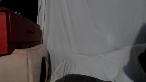 Snapshot of wacky_weirdo chatting on December 13, 2024, 4:00 am Rose online show from December 13, 2024, 4:00 am