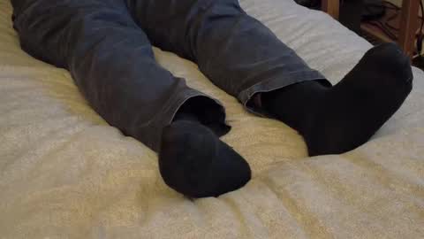 I love the ol in-n-out  online show from January 15, 2026, 3:44 am