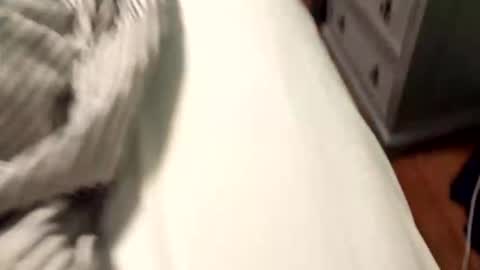 wannacam237 online show from April 21, 2026, 8:01 pm