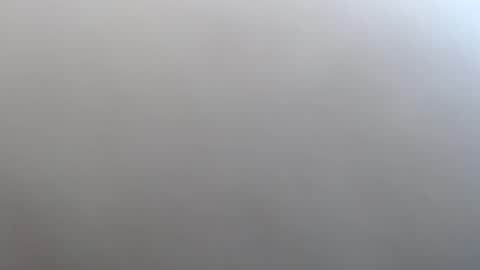 Snapshot of wantmewantu1 chatting on December 24, 2024, 6:33 am Johnny Dream online show from December 24, 2024, 6:33 am