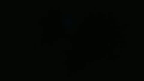 wapos__25 online show from November 25, 2025, 1:49 am