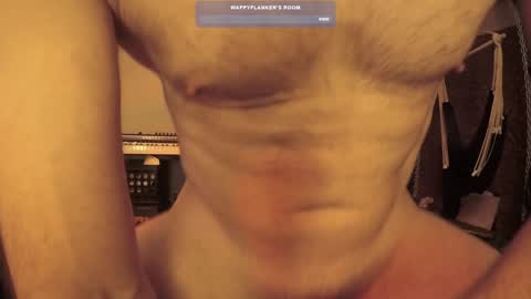 Snapshot of wappyflanker chatting on December 11, 2024, 2:54 pm wappyflanker online show from December 11, 2024, 2:54 pm