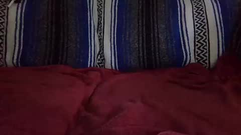 Warishcow online show from December 11, 2024, 12:02 am