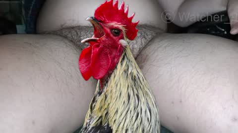 Snapshot of watcher_9 chatting on December 8, 2024, 8:15 pm classified online show from December 8, 2024, 8:15 pm