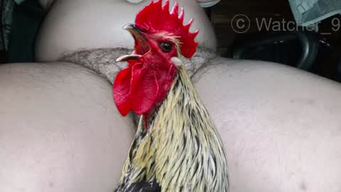 Snapshot of watcher_9 chatting on December 25, 2024, 8:50 pm classified online show from December 25, 2024, 8:50 pm