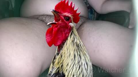 Snapshot of watcher_9 chatting on November 9, 2025, 8:29 pm classified online show from November 9, 2025, 8:29 pm