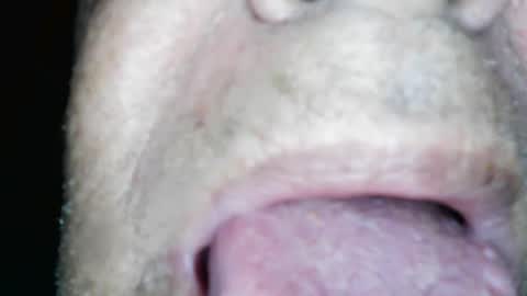 wayne1311 online show from February 7, 2025, 1:01 pm