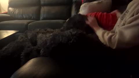 wellocal online show from December 21, 2025, 8:05 pm