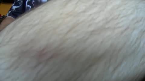 Snapshot of werewolf549 chatting on October 14, 2025, 7:53 am werewolf549 online show from October 14, 2025, 7:53 am