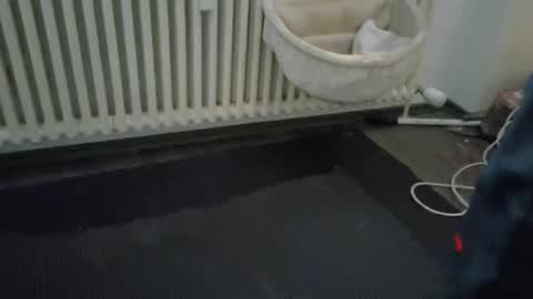 Snapshot of wetgerman2 chatting on March 11, 2025, 3:45 pm Wetgerman online show from March 11, 2025, 3:45 pm