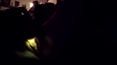 wetpixiepuss online show from October 27, 2025, 7:12 am