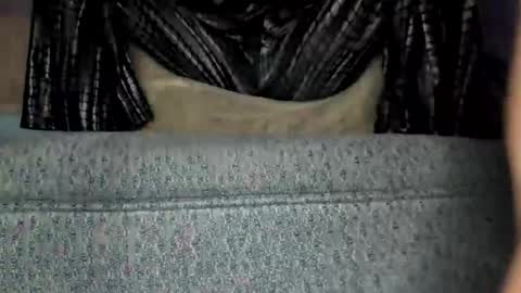 weweeworld online show from February 19, 2026, 8:21 am