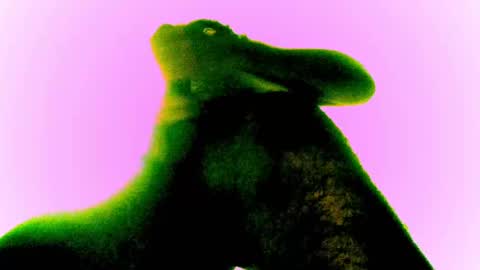 whatsexo online show from February 28, 2025, 12:54 am