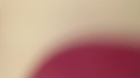 whichamajigger1 online show from October 26, 2025, 8:20 am