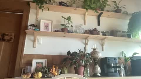 Snapshot of whiskylovexxx chatting on November 4, 2025, 4:50 pm WhiskyLove online show from November 4, 2025, 4:50 pm