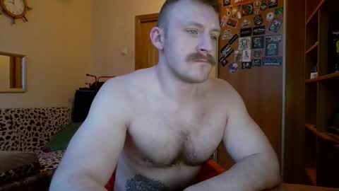 Snapshot of whitebull97 chatting on February 8, 2026, 6:06 am WhiteBull online show from February 8, 2026, 6:06 am