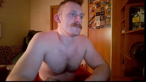 Snapshot of whitebull97 chatting on February 8, 2026, 6:11 pm WhiteBull online show from February 8, 2026, 6:11 pm