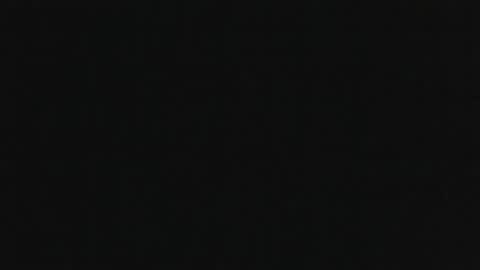 whitehead_lion online show from November 6, 2025, 11:59 pm