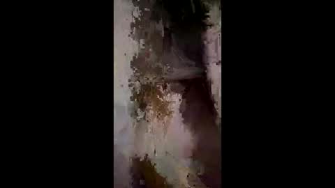 whitelava_4u online show from December 2, 2025, 3:01 am