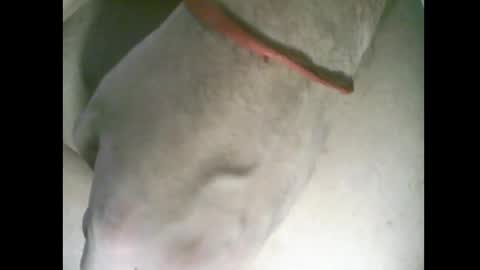 whitelines1991 online show from March 6, 2026, 1:02 am