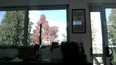 whitepantyman1973 online show from April 29, 2026, 3:10 am
