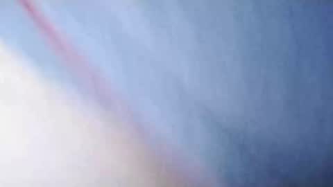 Whitezilla20cm online show from December 6, 2024, 11:33 am