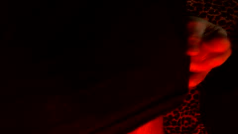 whor4mor online show from December 5, 2024, 1:17 pm