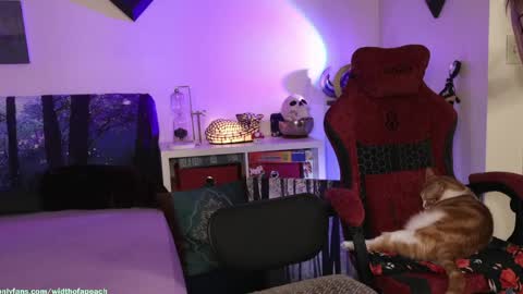 Gretchen  Jimmy online show from March 29, 2026, 4:45 am