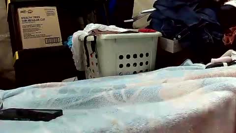 Snapshot of wife_phucker69 chatting on October 20, 2025, 12:16 pm Ryder Harder online show from October 20, 2025, 12:16 pm