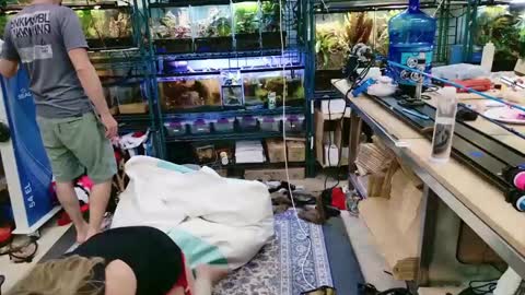 Snapshot of wifen_heels chatting on June 7, 2026, 9:18 pm WifeNheels online show from June 7, 2026, 9:18 pm